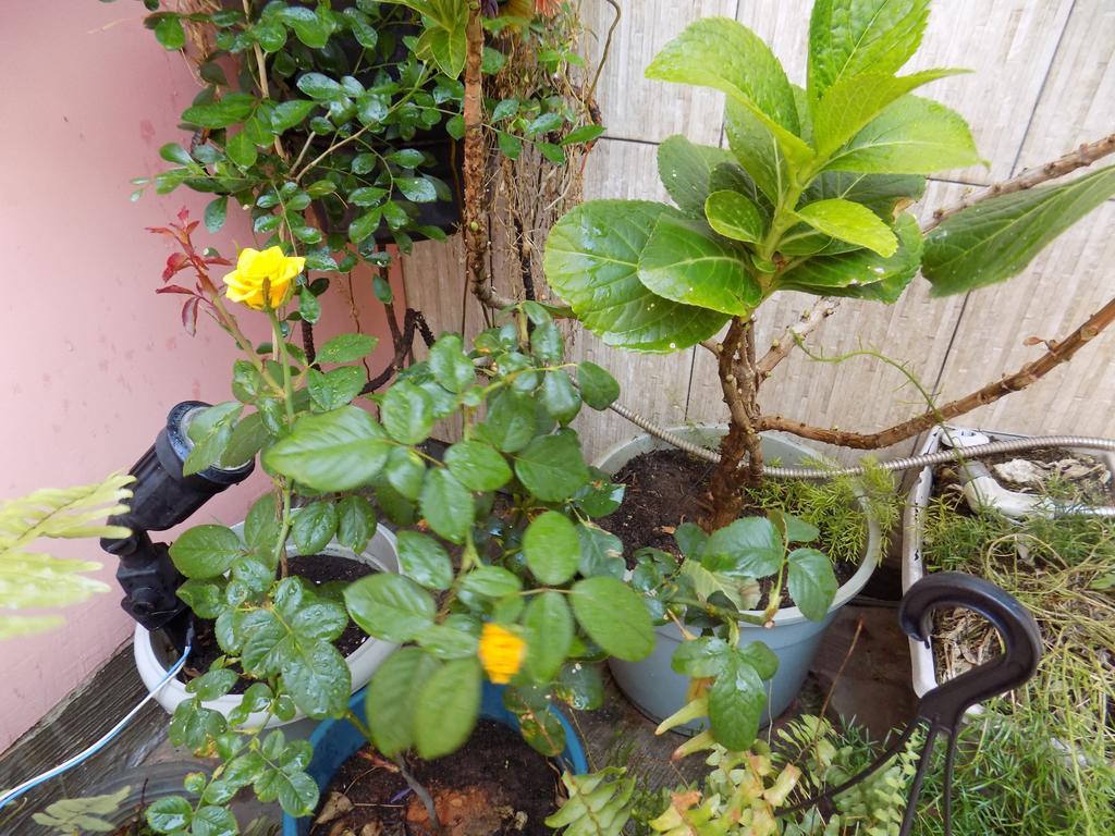 Albergue Rio Vermelho Salvador Ngoại thất bức ảnh