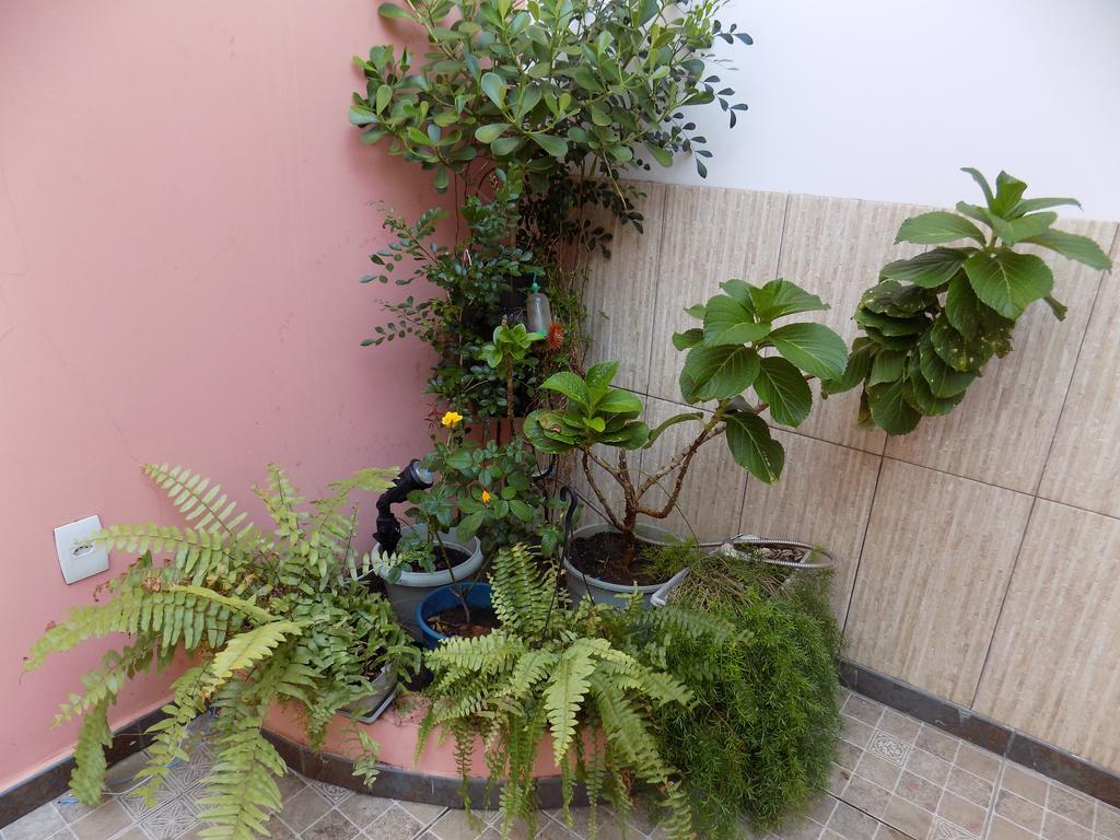 Albergue Rio Vermelho Salvador Ngoại thất bức ảnh